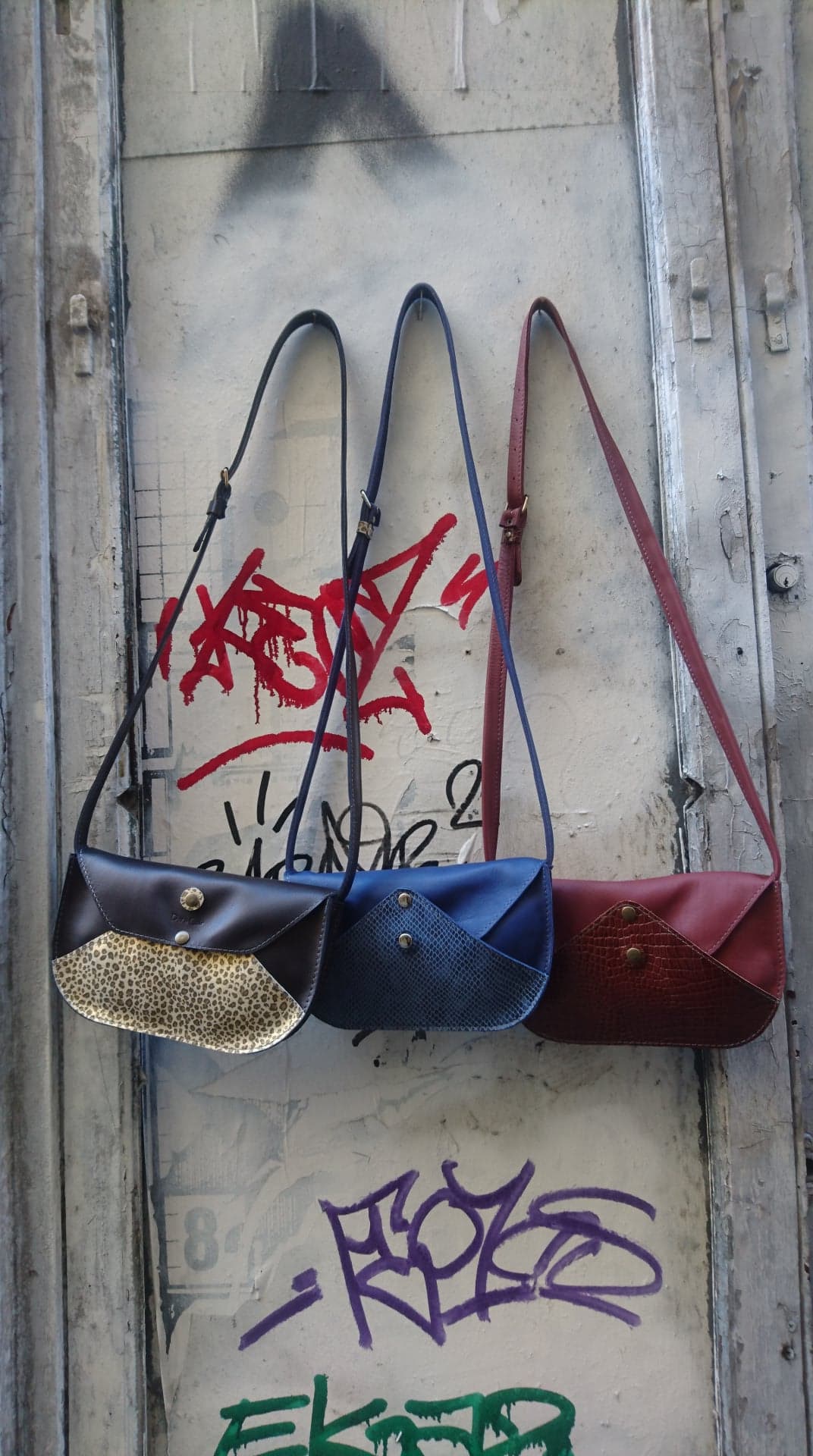 sac alba (1)
